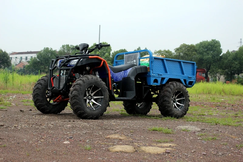 Epa Approved 800cc Side By Sides Gas Four Wheel Drive 500cc 4x4 4wd 300cc Agy 250cc 200cc Farm Atv