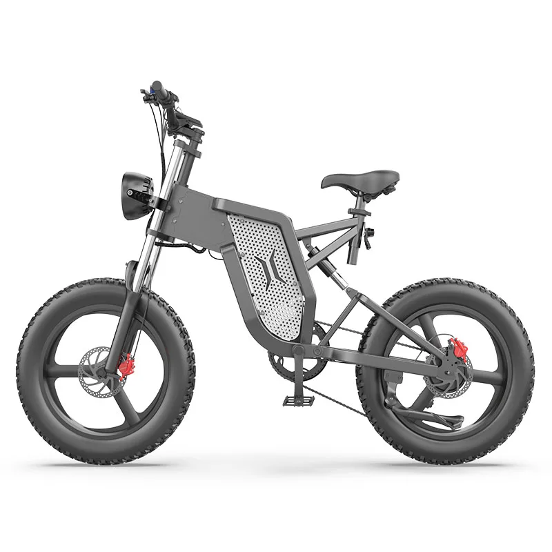 Angelol Fat Tire Electric Mountain E Bike Big Power 1000W 48V Mid Drive Motor Dual Suspensions Electric Fat Bike For Adults