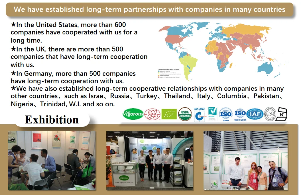 Factory food grade bulk  high quality soybean extract 95% soy lecithin powder for health