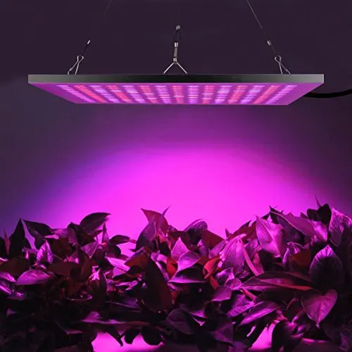 Led Grow Light Full Spectrum 45W 50W Growing Lamps AC85-265V Plant Growth Lighting for Plants Flowers Seedling Cultivation