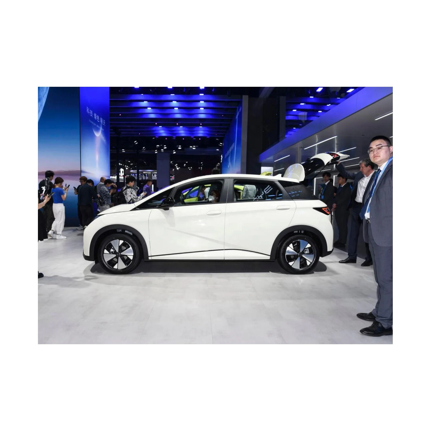 changli  new energy  adult electric car for BYD Dolphin 5 Doors 5 Seats