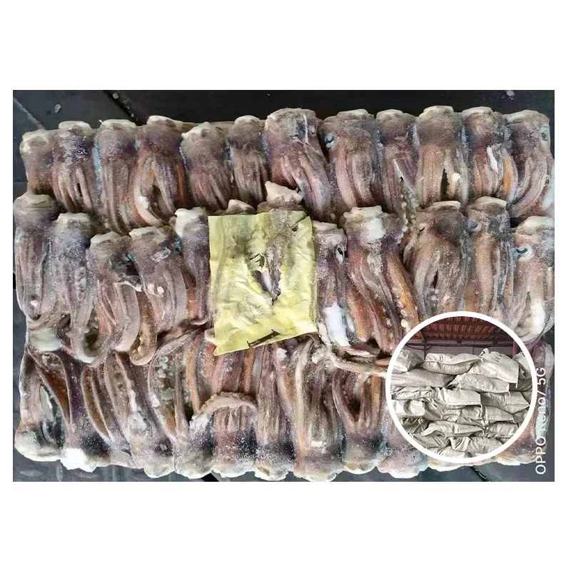 From Taiwan Wholesale Raw Meat Processing Calamari Tentacles Material Argentina Frozen Illex Squid Head