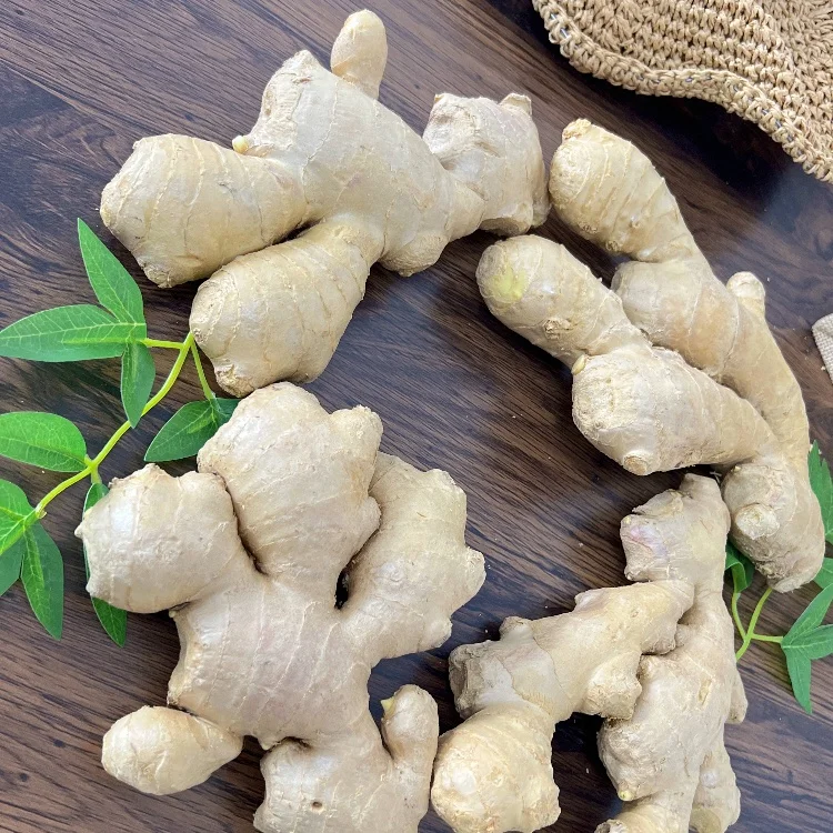 Fresh china ginger wholesale high quality fresh and air dry ginger on sale