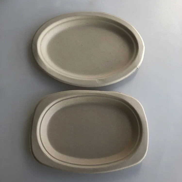 Biodegradable Compostable Eco Friendly Disposable Bagasse Pulp Takeaway  Paper Custom To Go Plates