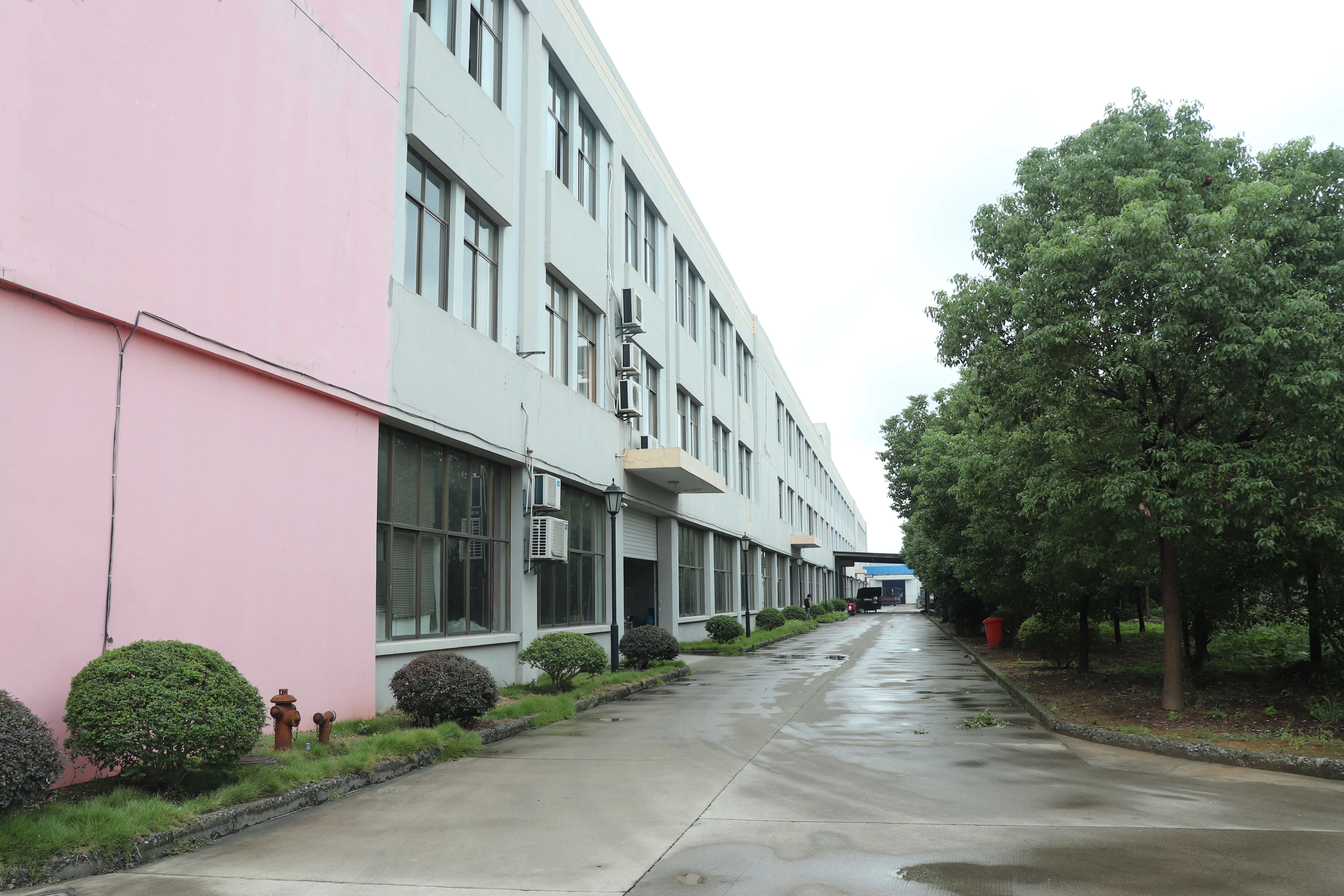 Company Building02.jpg