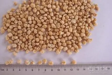 Stainless steel Soy Protein Snack machinery soy protein meat production line making machine/equipment