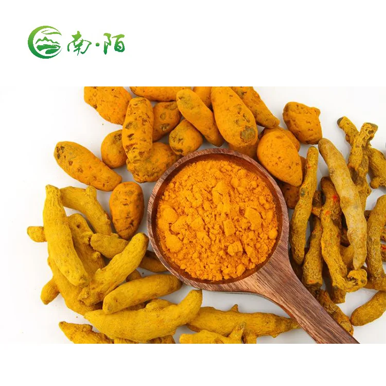 High Quality Organic Curcuma Extract Pure Natural Turmeric Powder