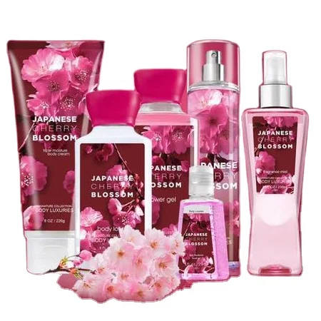 Dear Body Brand Hot Sale Bath Spa and Body Care Cheap Perfume Gift Set