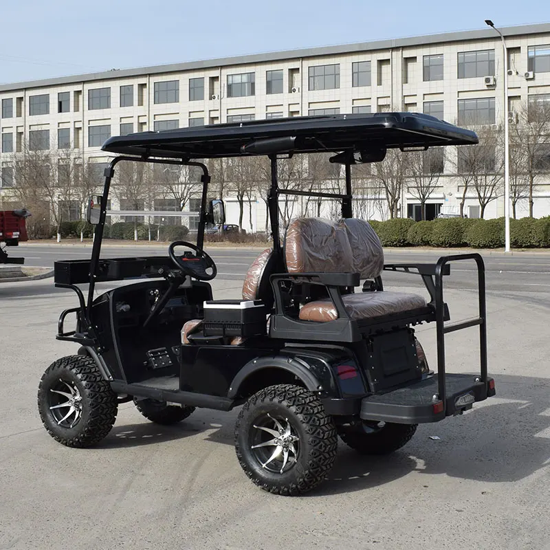 classic mini electric golf buggy for tourist use