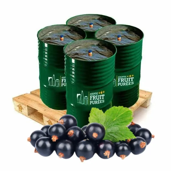 Brix 67 TA 11 aseptic bag drum 200kg Pure Natural Beverage drink raw material fruit Puree pulp Blackcurrant juice concentrate
