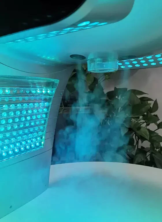 2020 Новые 7 видов цветов свет терапия машина с распылитель пара