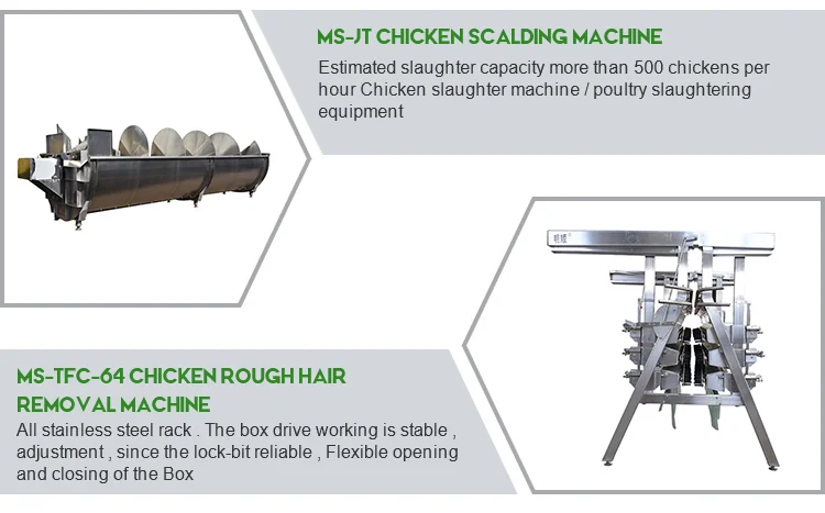 Best price stainless steel complete 1000 bph poultry slaughtering equipment