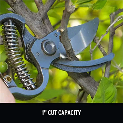 Wholesale Professional Branch Pruner Shears Professional Garden Pruning Tools Bypass Lawn Scissors Clippers Branch Pruner