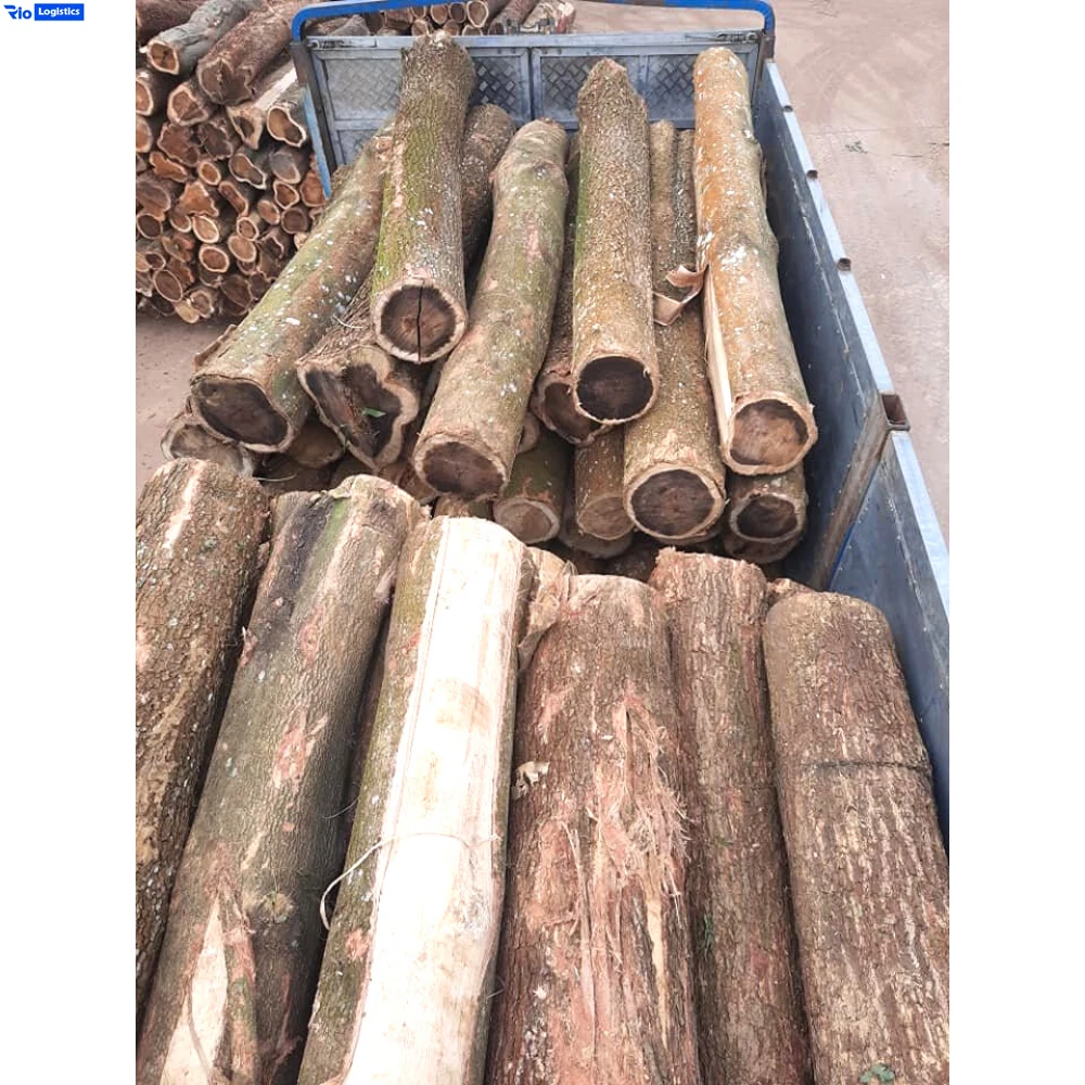 High Quality Timber Logs Acacia Wood Logs