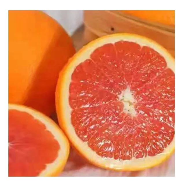 Оптовая продажа вкусные сладкие свежие цитрусовые апельсины кровь оранжевый
