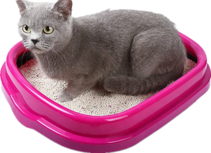 hot sale tofu cat litter china eco-friendly flushable cat litter