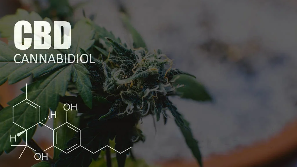 
Factory direct private custom label NON GMO hemp seed oil for healthy food 