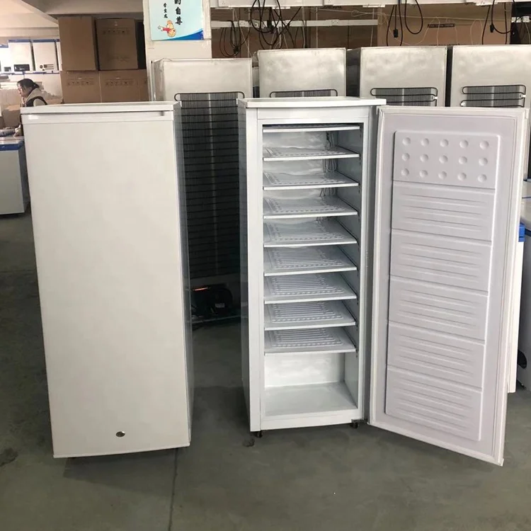 11 layers 220V 198 liters upright freezer per day 70KG solar ice block machine