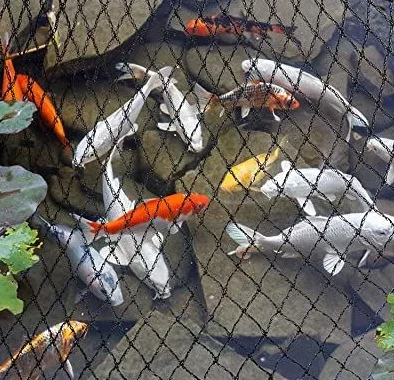 factory  wholesale HDPE  knotted anti bird protection net bird mesh anti bird net for fruit tree garden fishpond