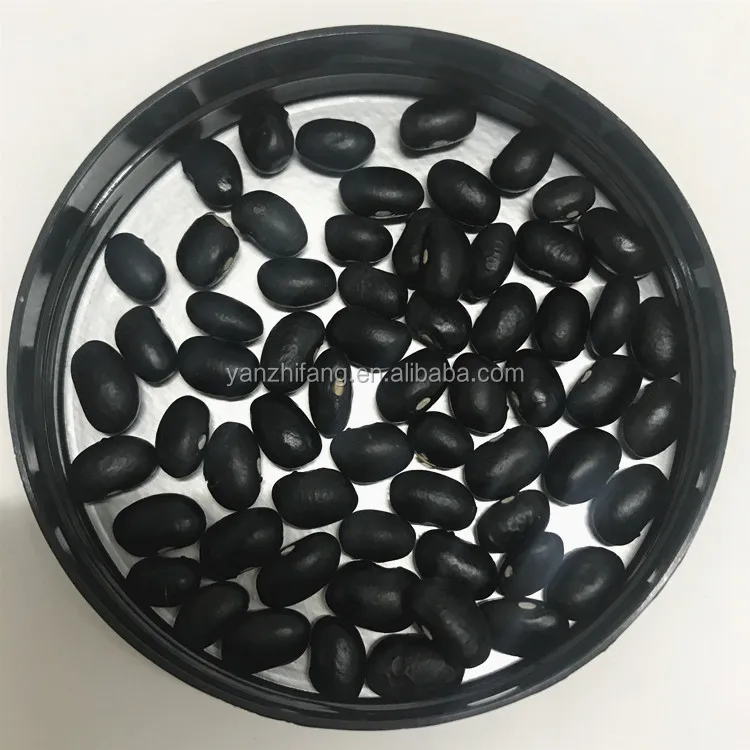 Bulk sale dry black kidney beans long black beans kidney