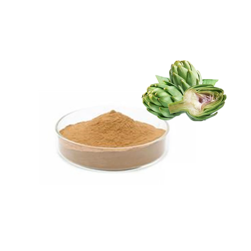 High Quality Artichoke leaf extract Cynatine 5% Powder for cholesterol