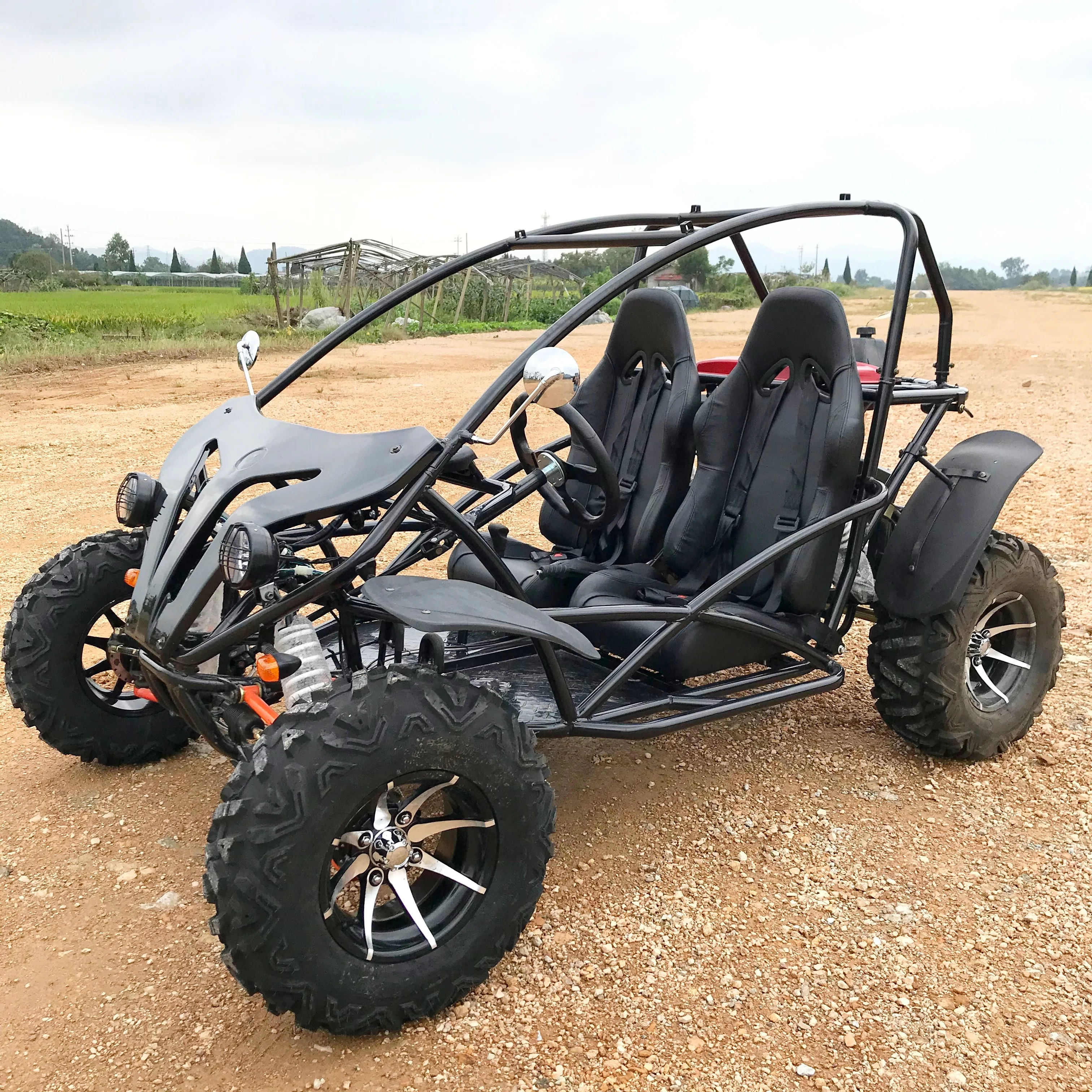 LNA Fast Paced Petrol Engine 200cc Buggy Utv