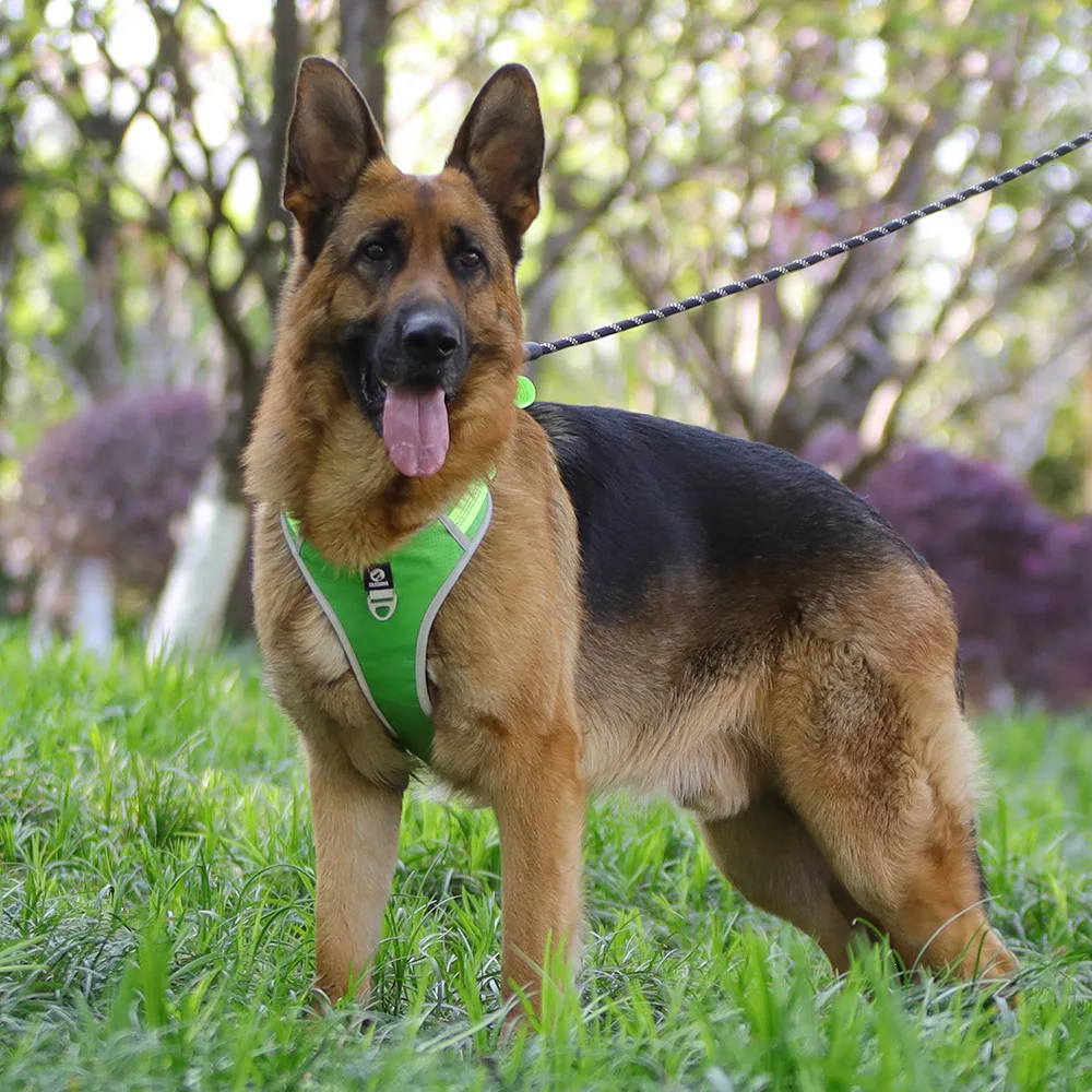 Custom Logo Big Adjustable Non Pull Hunting Harness Outdoor Tactical Military K9 Army Dog Safety Vest Harness for Dog