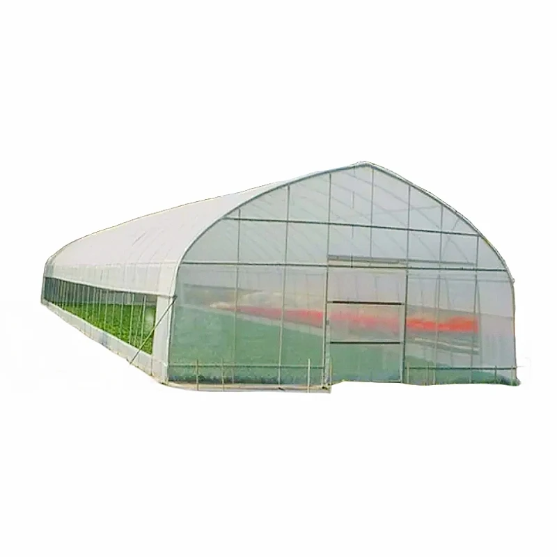 High Strength Commercial Agricultural And Farm Poly Tunnel Green House plastic film Cultivation Shed Tomato Greenhouse For Sale
