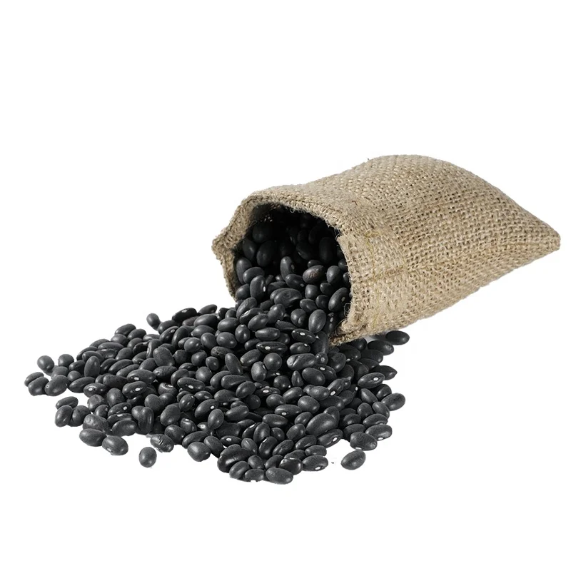 Factory price chinese black bean and black kidney price for export