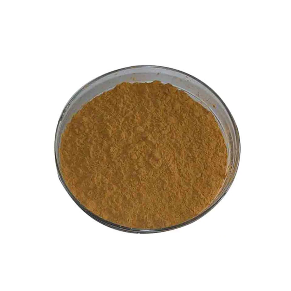 
Hot Selling Astragalus Extract With Good Price 