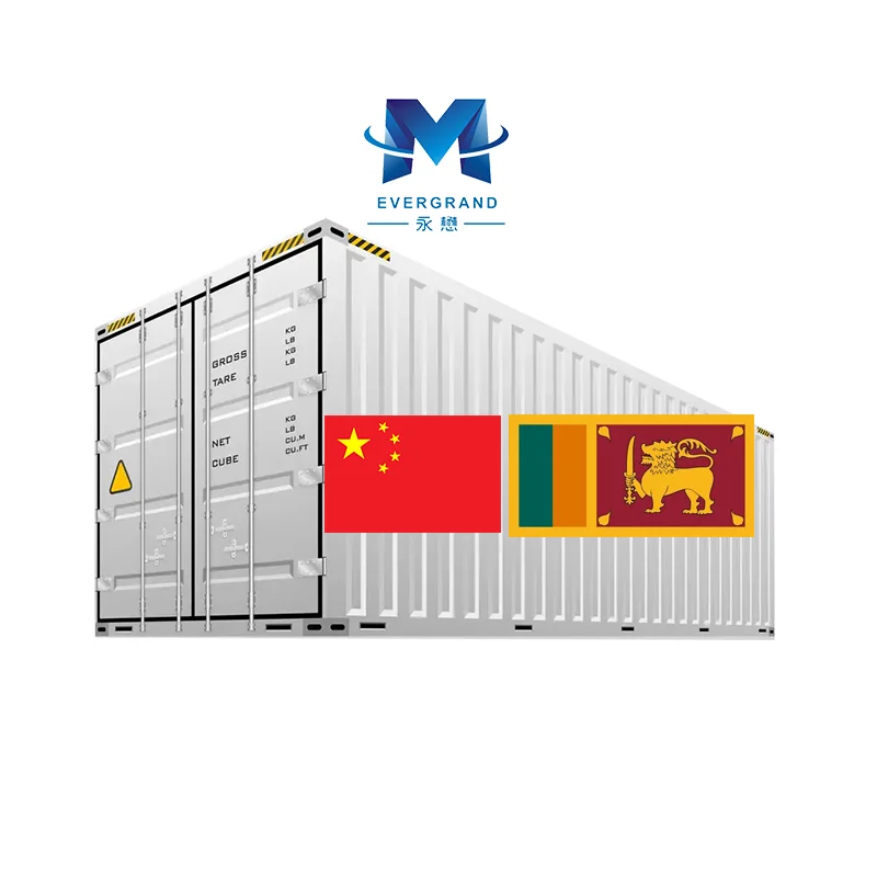 Professional Consolidation Agent China to Sri Lanka Sea Shipping Freight Forwarder One Stop Services