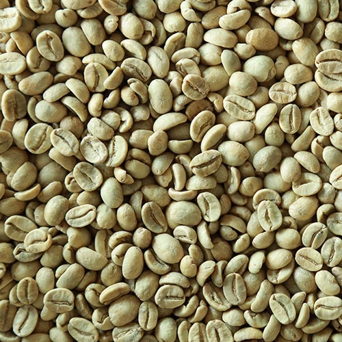 Raw Coffee Bean 100% Natural Color  Hot Selling Ethiopian Arabica And Robusta Green Coffee Beans from Vietnam