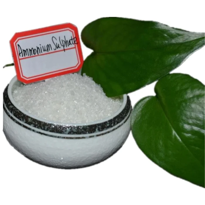 China Supplier Water Soluble Fertilizer grade Ammonium Sulphate