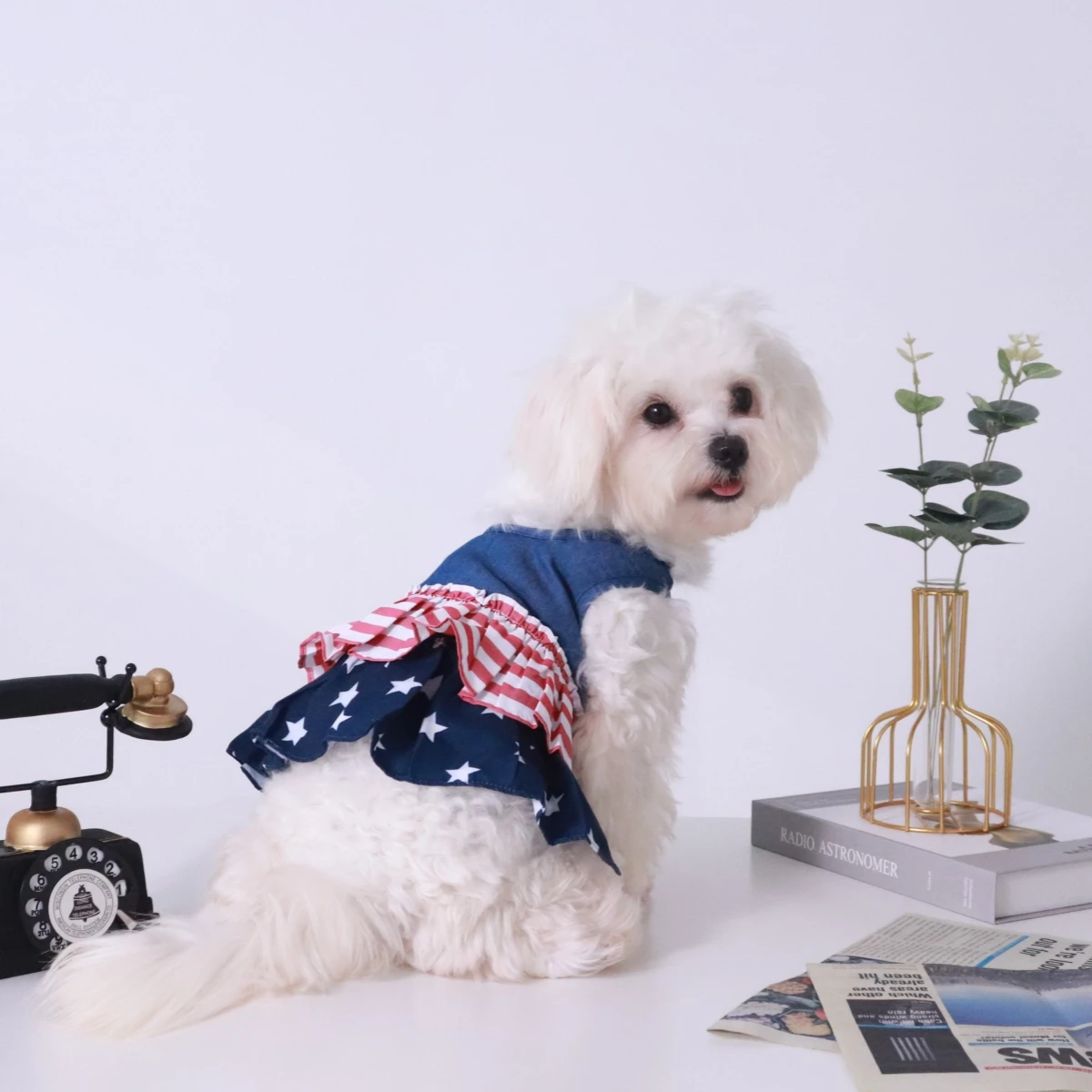 Производитель UFBemo модная дизайнерская летняя одежда небольшого размера американская карта для домашних животных аксессуары плащ собак