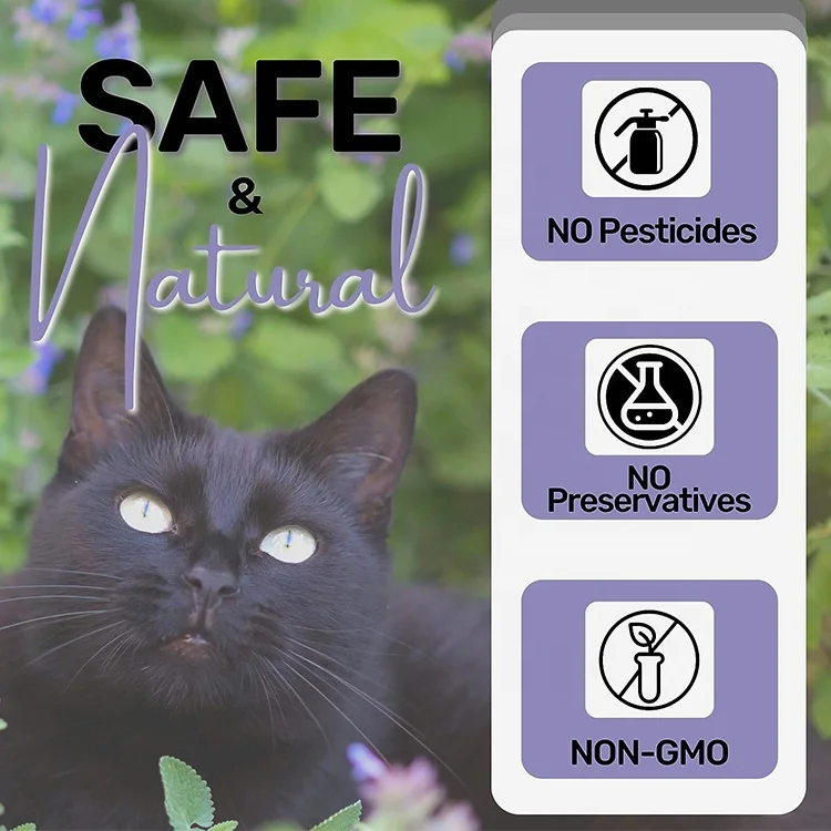 2023 New Product Banish Anxiety Essential Cat Accessory Cat Mint Ball