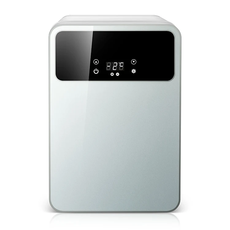 Прямая поставка с фабрики, оптовая продажа, двойного назначения, мини-холодильник для отеля 2021