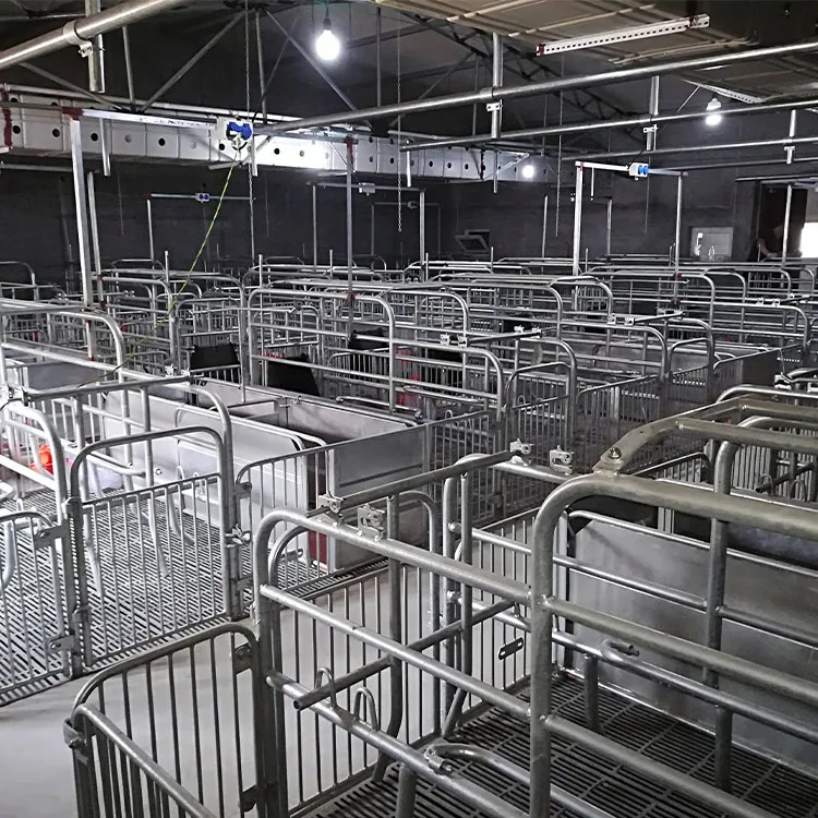 Customized Piglet Nursery Pen Pig Farrowing Crate Farm Equipment