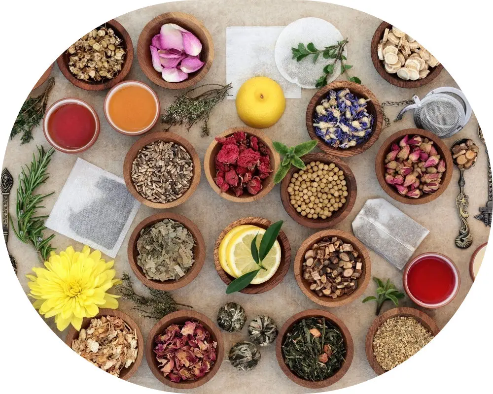 Bacopin Extract with Polysaccharide 10% Morinda Officinalis Iridoid Glycosides Anthraquin