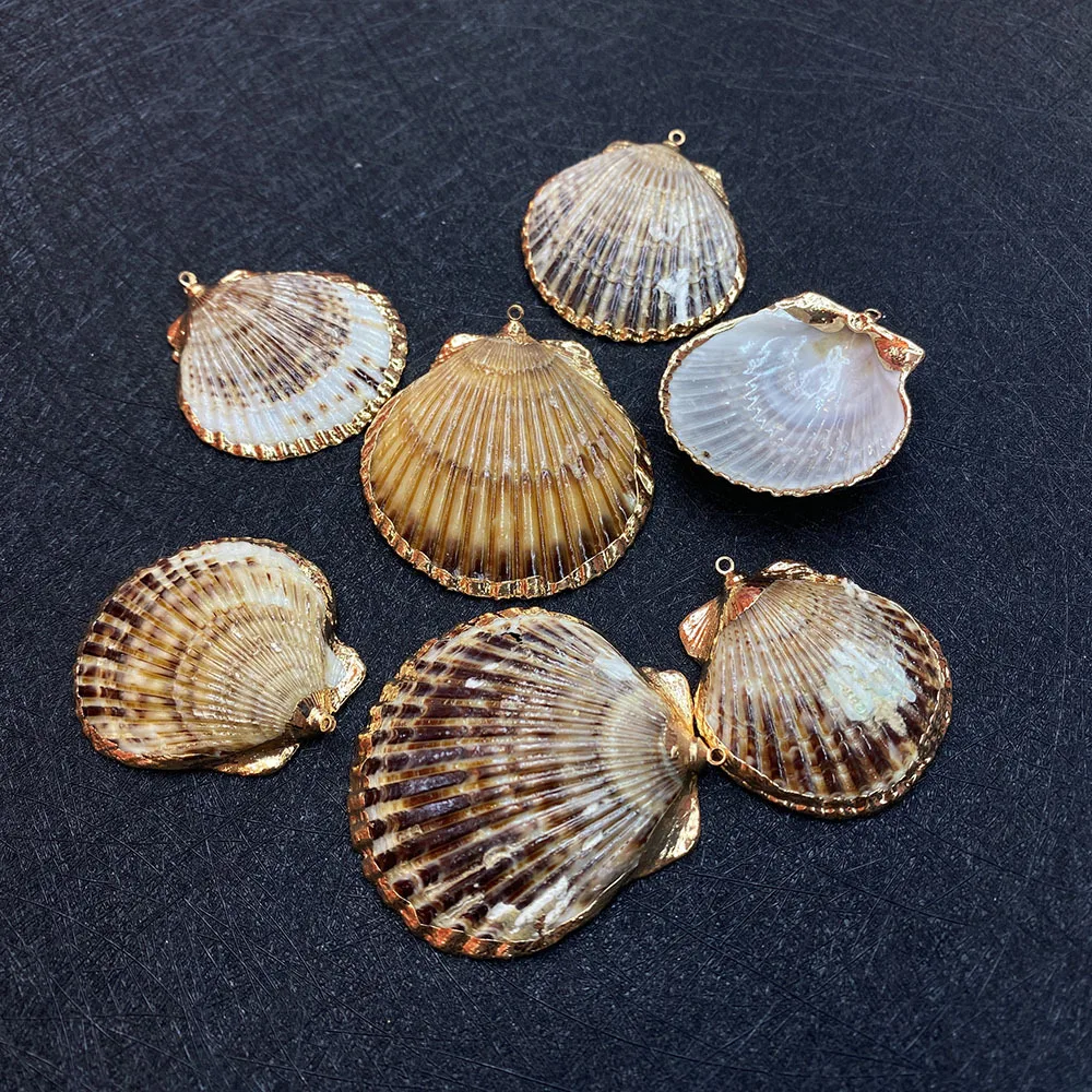Wholesale Natural Shell Conch Pendant White Cowrie Seashells Charm Handmade DIY Jewelry Accessories