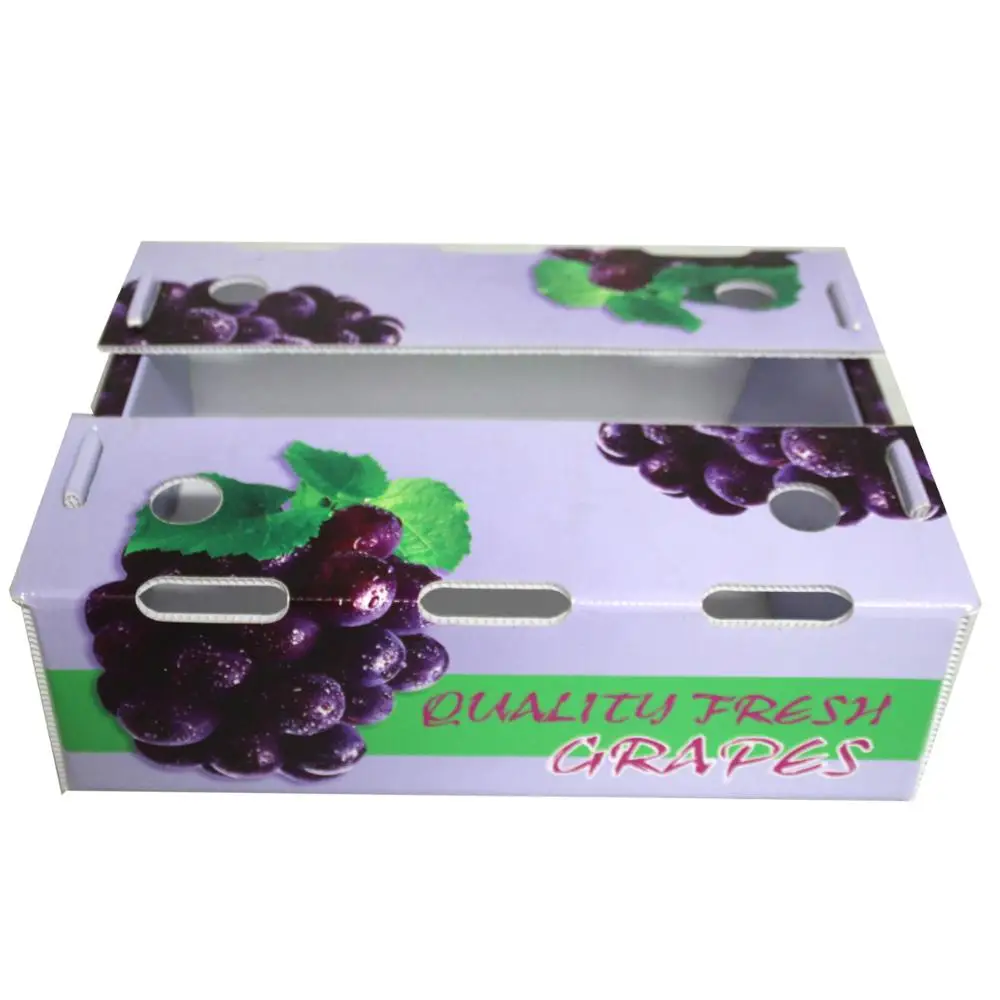 Customized frozen wet sea food vegetables fruits plastic corrugated  packing box