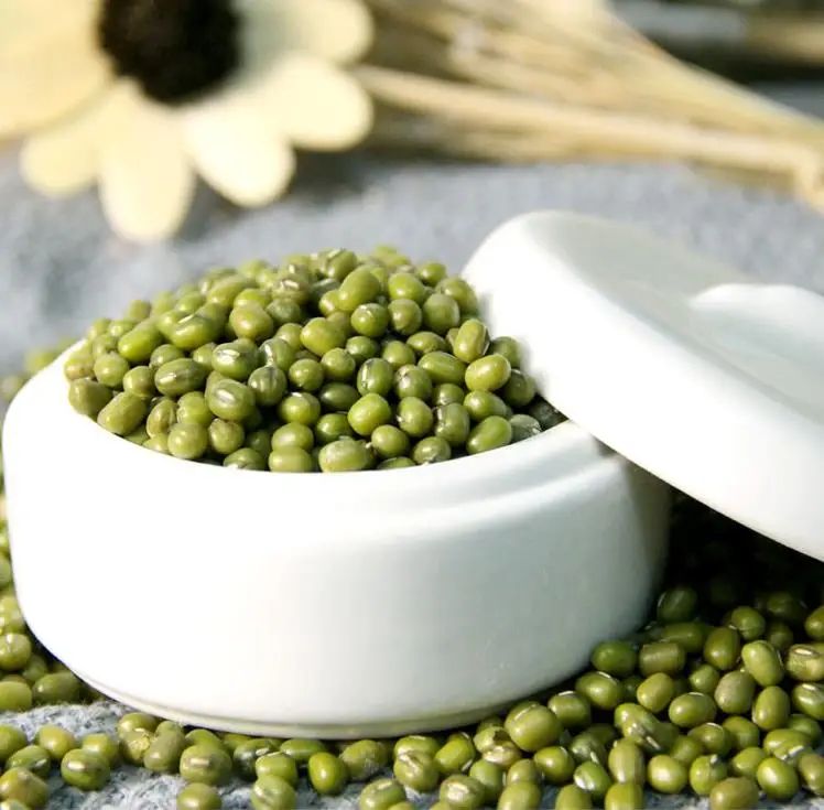 High Quality Vigna Radiata Natural Green Mung