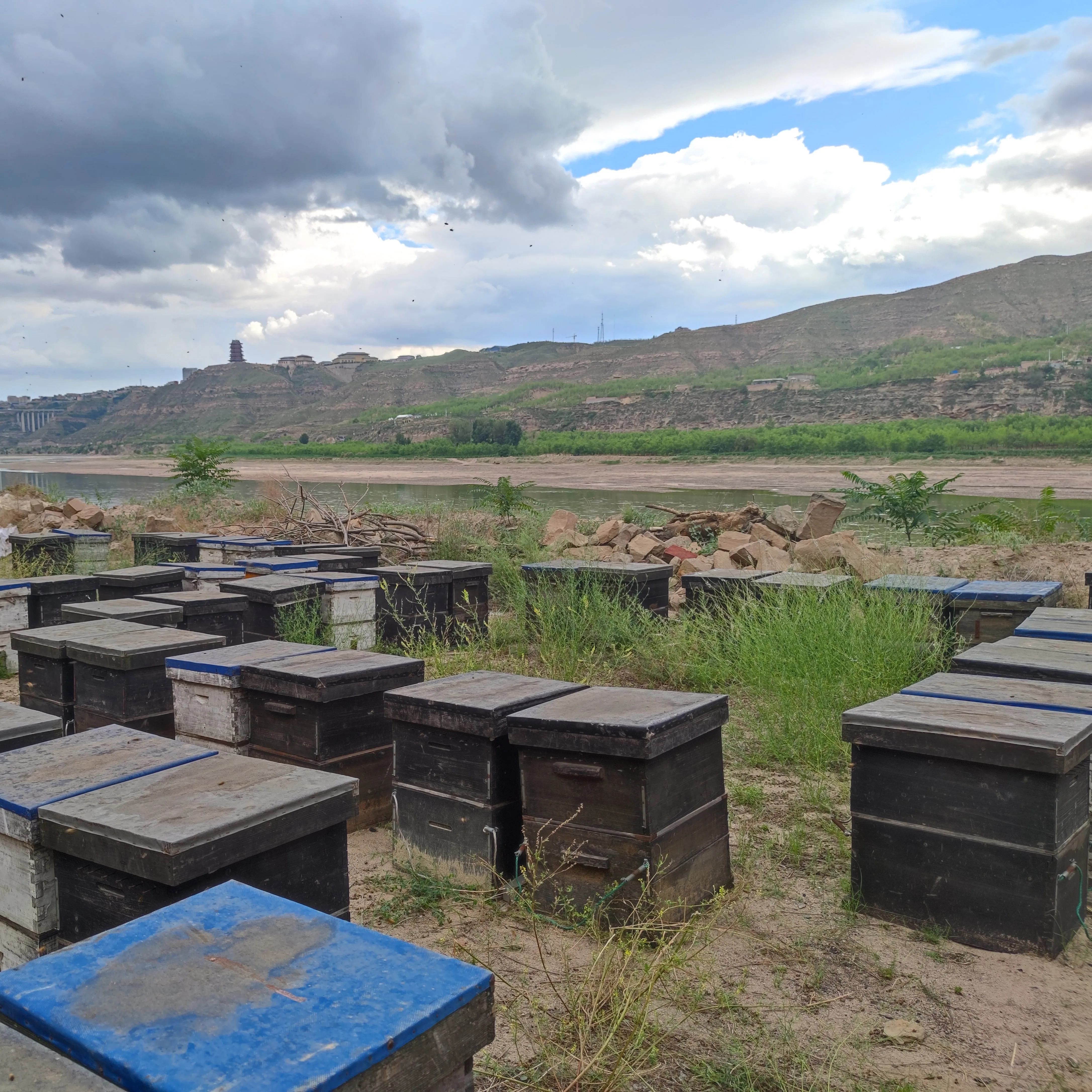 White Beeswax Pellets, 100% Pure Organic, Great Smell, Cosmetic Grade