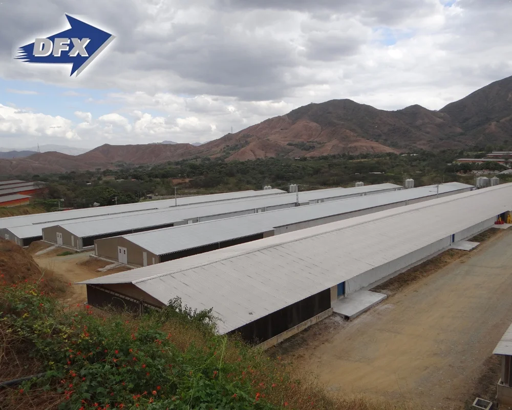 Prefabricated Insulated Steel Structure Cowshed Stable Barn Chicken House from Qingdao China
