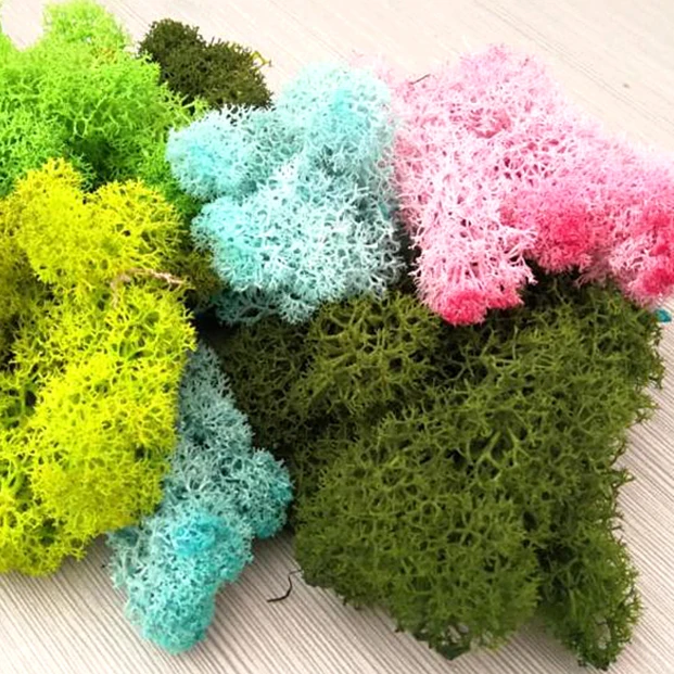 
Wholesale 500g high quality decor preserved moss 