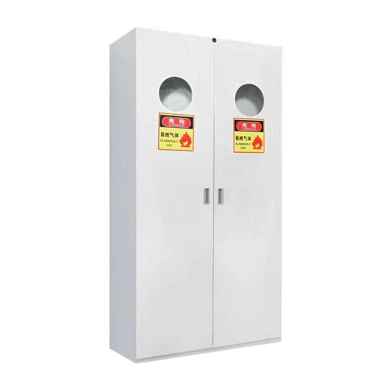 Hot sale All steel Gas Cylinder Cabinet  for Laboratory Lab Furniture/