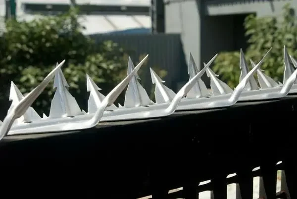 Qiaoliang Effective metal anti climb fence spikes Anti-theft wall spikes with top sharp Anti bird spikes bird repeller