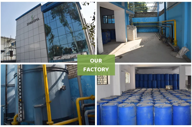 Trusted Supplier of Castor Cold Press Carrier Oil at Market Price