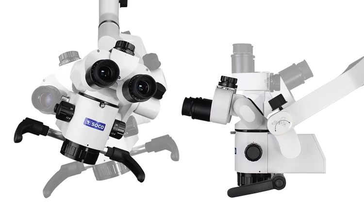endo microscope.jpg