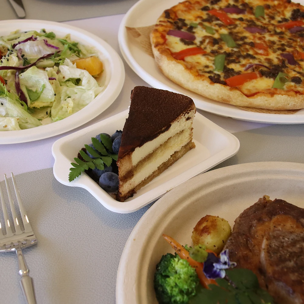 ZX 26oz Oval White Round Bagasse Paper Plates Compostable Biodegradable Disposable Heavy Duty Dinner Party Bagasse Paper Plates