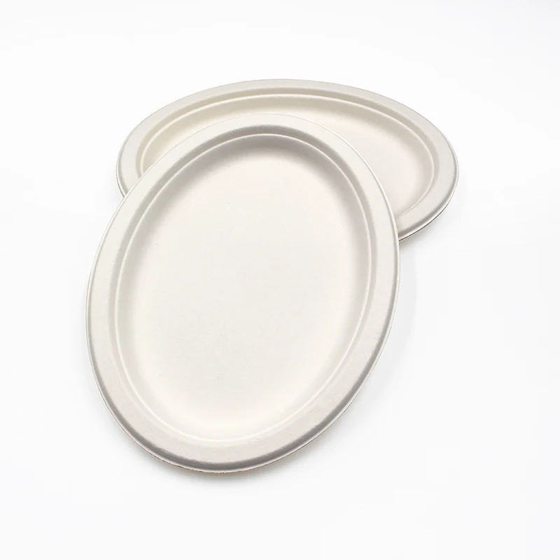 Hot Selling Eco-friendly Compostable Plates Square Round Sugarcane Plates With Various Popular Design